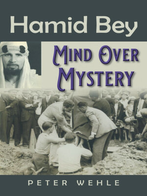 cover image of Hamid Bey